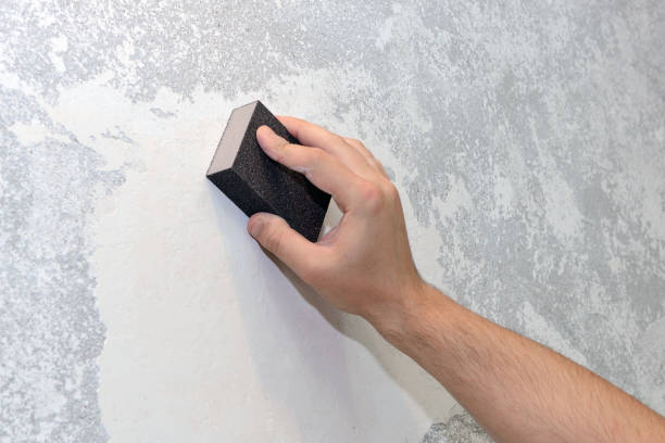 Best Mold Prevention Services  in Commerce, TX